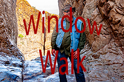 Window Walk    