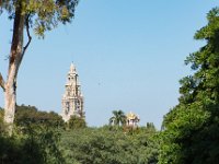 The Iconic Tower  Kate Sessions offered to plant 100 trees a year within the Park as well as donate trees and shrubs around San Diego : Balboa